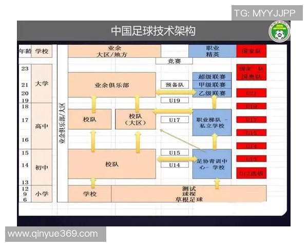 上海足球队配合变革引发热议推动中国足球新发展之路