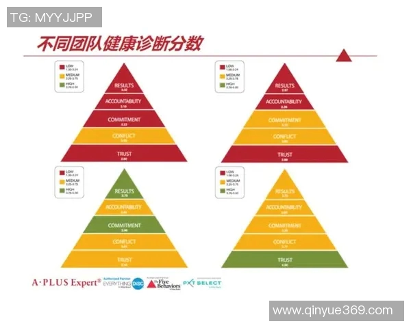 乒乓球专题：深入探讨杭州乒乓球队的团队协作与默契配合之道