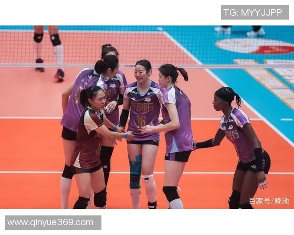 南京排球队与北京排球队对决后的深度分析与节奏探讨