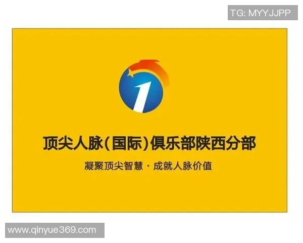 深圳网球队的辉煌征程与冠军赛背后的奋斗故事 深圳网球队的辉煌征程与冠军赛背后的奋斗故事
